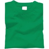 カラーTシャツ 025グリーン Jサイズ(150) Tシャツ 半袖Tシャツ 普段着 ファッション 運動 スポーツ ユニフォーム アーテック 38972
