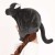頭乗せネコ 着ぐるみキャップ きぐるみキャップ ネコ ねこ 猫 かぶりもの CAP 帽子 コスプレ 仮装 変装  サザック SZC-261