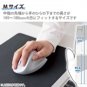 【代引不可】静音 Bluetooth マウス ワイヤレスマウス ホワイト 5ボタン Mサイズ 無線 右手専用 抗菌 EX-G エレコム M-XGM30BBSKWH