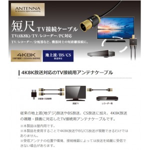 【代引不可】アンテナケーブル 4K 8K 対応 TV 接続 用 S-S型 短尺 0.7m 2本入り エレコム DH-ATSS48K207