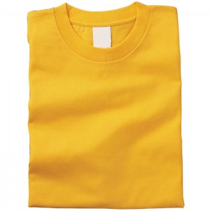 カラーTシャツ 165デイジー Sサイズ Tシャツ 半袖Tシャツ 普段着 ファッション 運動 スポーツ ユニフォーム アーテック 38702
