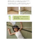 【代引不可】い草 上敷きカーペット ござ 約261×352cm 江戸間6畳 畳の日焼けや汚れ防止に 空気浄化 調湿 消臭 抗菌防臭 両面 コンパクト収納 双目織 草津 純国産 日本製 IKEHIKO 1100636