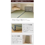 【代引不可】い草 上敷きカーペット ござ 撥水 江戸間3畳 約176×261cm 九州産い草使用 畳の日焼けや汚れ防止に 抗菌防臭 リバーシブル コンパクト収納 双目織 純国産 日本製 IKEHIKO 1104533