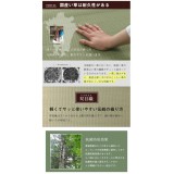 【代引不可】い草 上敷きカーペット ござ 撥水 三六間4.5畳 約273×273cm 九州産い草使用 畳の日焼けや汚れ防止に 抗菌防臭 リバーシブル コンパクト収納 双目織 純国産 日本製 IKEHIKO 1104544