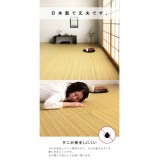 【代引不可】ござ カーペット ラグ 団地間8畳 約340×340cm ダイニングラグ 日本製 い草調 ポリプロピレン 丈夫 洗える ダニが発生しにくい 除菌スプレー対応 インテリア アウトドア ペット IKEHIKO BRC340340