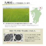 【代引不可】い草 上敷きカーペット ござ 約382×382cm 本間8畳 畳の日焼けや汚れ防止に 空気浄化 調湿 消臭 抗菌防臭 両面 コンパクト収納 双目織 草津 純国産 日本製 IKEHIKO 1110688
