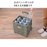 【北海道・沖縄・離島配送不可】【代引不可】フォールディングキャリーワゴン 折りたたみ 大容量 買い物 アウトドア キャンプ 東谷 LFS-35