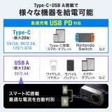 【代引不可】ソケット付き車載充電器（USB PD20W Type-C+USB A） 最大20W スマートフォン タブレット 急速充電 12V/24V車対応 サンワサプライ CAR-CHR81CPD