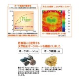 オーラ岩盤下腹ウォーマー  パンツタイプ 履くタイプ あったかパンツ 服の上から着られる 日本製 お腹 腰の冷え対策 富士パックス h995