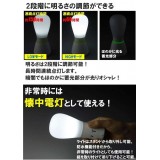 スタンドライト ライト 懐中電灯 持っても置いても便利な2WAYライト 懐中電灯にもなるスタンド付きライト！ 富士パックス h890