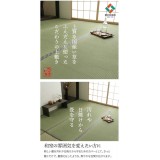 【代引不可】い草 上敷きカーペット ござ 江戸間8畳 約352×352cm 上質な九州産い草使用 畳の日焼けや汚れ防止に 調湿 空気浄化 抗菌防臭 リバーシブル お手入れ簡単 双目織 白浜 純国産 日本製 IKEHIKO 1104038