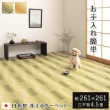 【代引不可】ござ 江戸間4.5畳 約261×261cm カーペット ラグ 日本製 国産 ポリプロピレン 耐久性 汚れに強い 洗える カビにくい 除菌スプレー対応 インテリア アウトドア レジャー ペット 日本製 IKEHIKO HYR261261