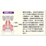 ガードル ゆる圧美腹ガードル ハーフ LL-3Lサイズ 姿勢サポート 下腹引き締め ヒップアップ シェイプアップ 補整下着 グローバルジャパン