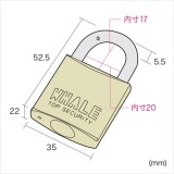 【代引不可】eセキュリティ ディンプルキー 南京錠 カギ 鍵 パソコン データ 盗難 防止 予防 セキュリティ サンワサプライ SLE-8LN