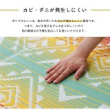 【代引不可】日本製 洗える レジャーシート 約87×140cm ポリプロピレン ござ アウトドア お手入れ 持ち運び 便利 簡単 水洗い可能 IKEHIKO SRT87140