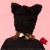 もふもふにゃんにゃん 黒 ブラック かぶりもの ネコ ねこ 猫 キャット CAT にゃんこ 黒猫 ネコ耳 ねこ耳 帽子 仮装 コスプレ 小道具 宴会 イベント クリアストーン 4560320890065