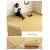 【代引不可】ござ カーペット ラグ 団地間8畳 約340×340cm ダイニングラグ 日本製 い草調 ポリプロピレン 丈夫 洗える ダニが発生しにくい 除菌スプレー対応 インテリア アウトドア ペット IKEHIKO BRC340340