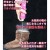 靴 シューズ ブーツ 消臭 除菌 レディース 日本製 女のシッカリ除菌・消臭・靴・ブーツ スプレー 富士パックス h911