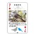 近くで見つかる野鳥トランプ 野鳥 トランプ カードゲーム 鳥 トランプゲーム 鳥の名前 学習 遊びながら学べる  アーテック 7419