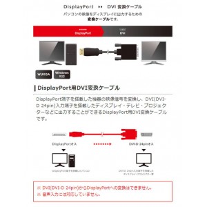 【即納】【代引不可】Display Port用 DV I変換ケーブル 1.0m PC 映像 DP TV プロジェクター 出力 エレコム CAC-DPDVI10BK
